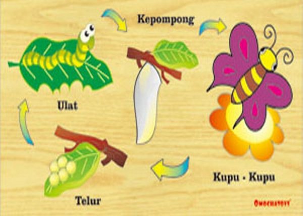 Detail Gambar Kupu Kupu Anak Tk Nomer 52