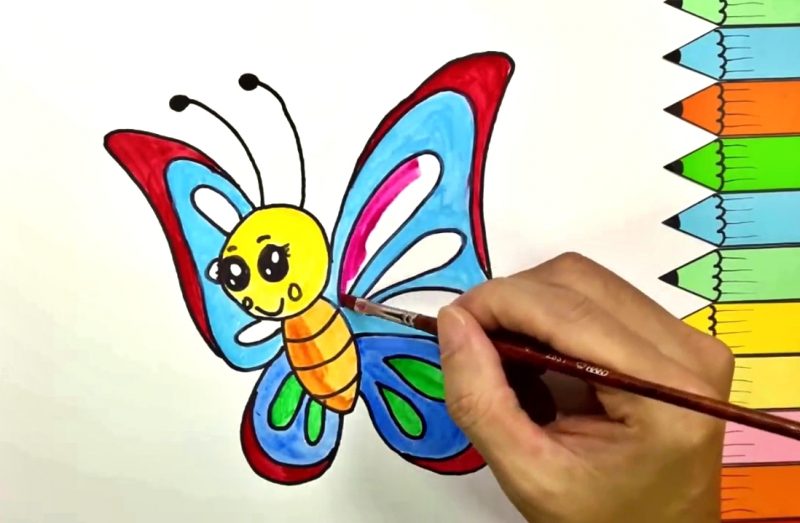 Detail Gambar Kupu Kupu Cantik Dan Indah Nomer 33