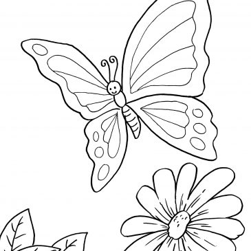Detail Gambar Kupu Kupu Dan Bunga Hitam Putih Nomer 19