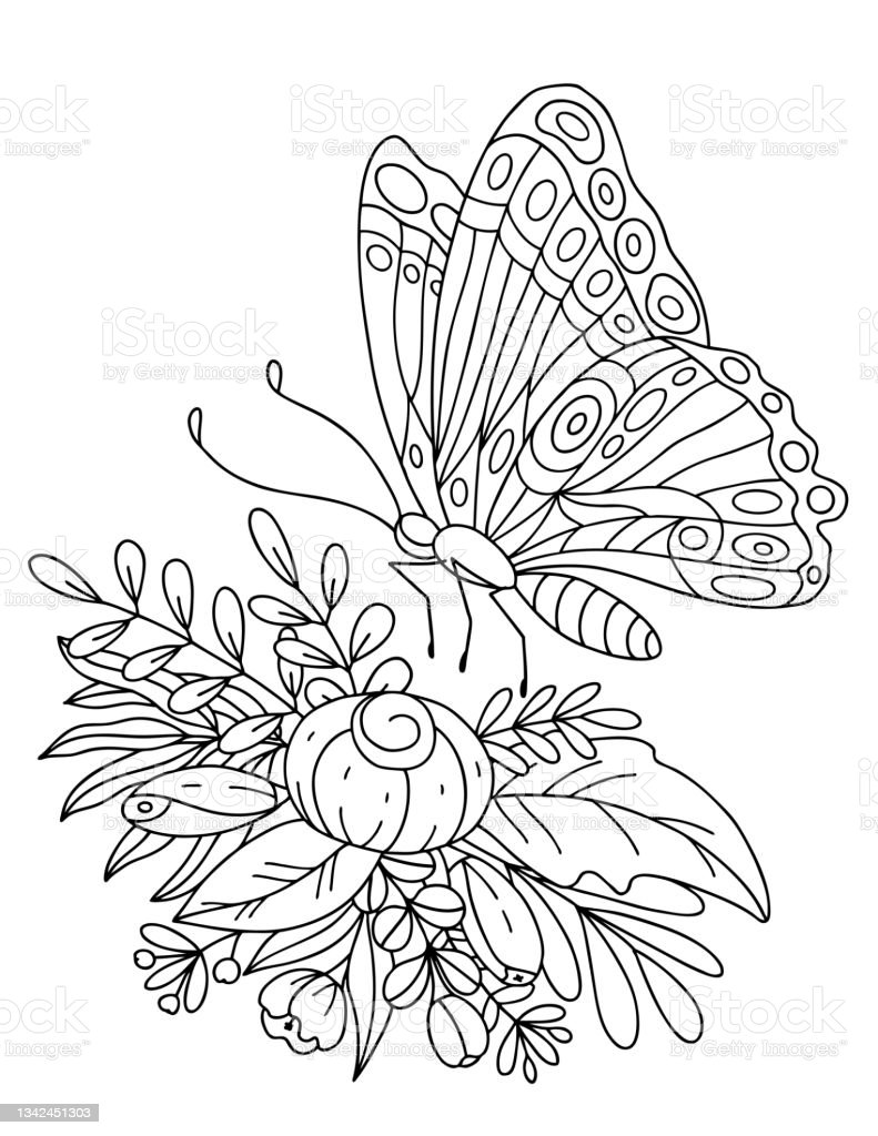 Detail Gambar Kupu Kupu Dan Bunga Hitam Putih Nomer 9