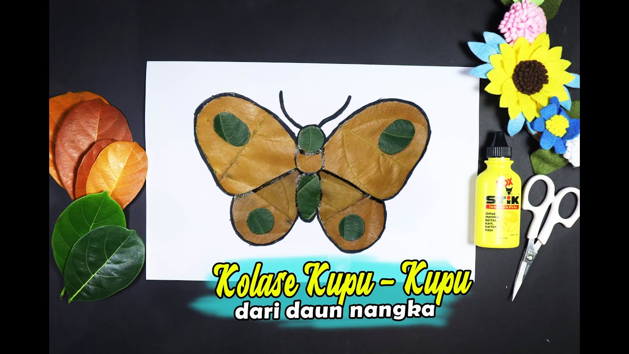 Detail Gambar Kupu Kupu Ditempeli Daun Nomer 17