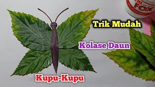 Detail Gambar Kupu Kupu Ditempeli Daun Nomer 3