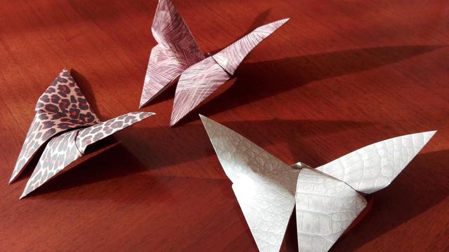 Detail Gambar Kupu Kupu Origami Nomer 17