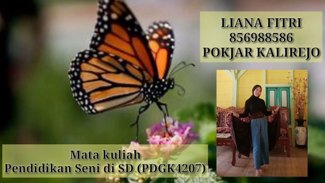 Detail Gambar Kupu Kupu Untuk Anak Sd Nomer 35