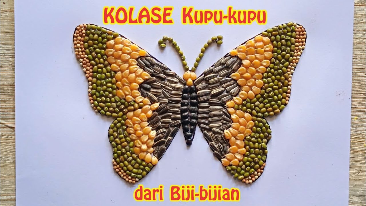 Detail Gambar Kupu Kupu Untuk Kolase Nomer 4