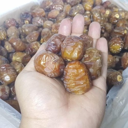 Detail Gambar Kurma Berjamur Nomer 41