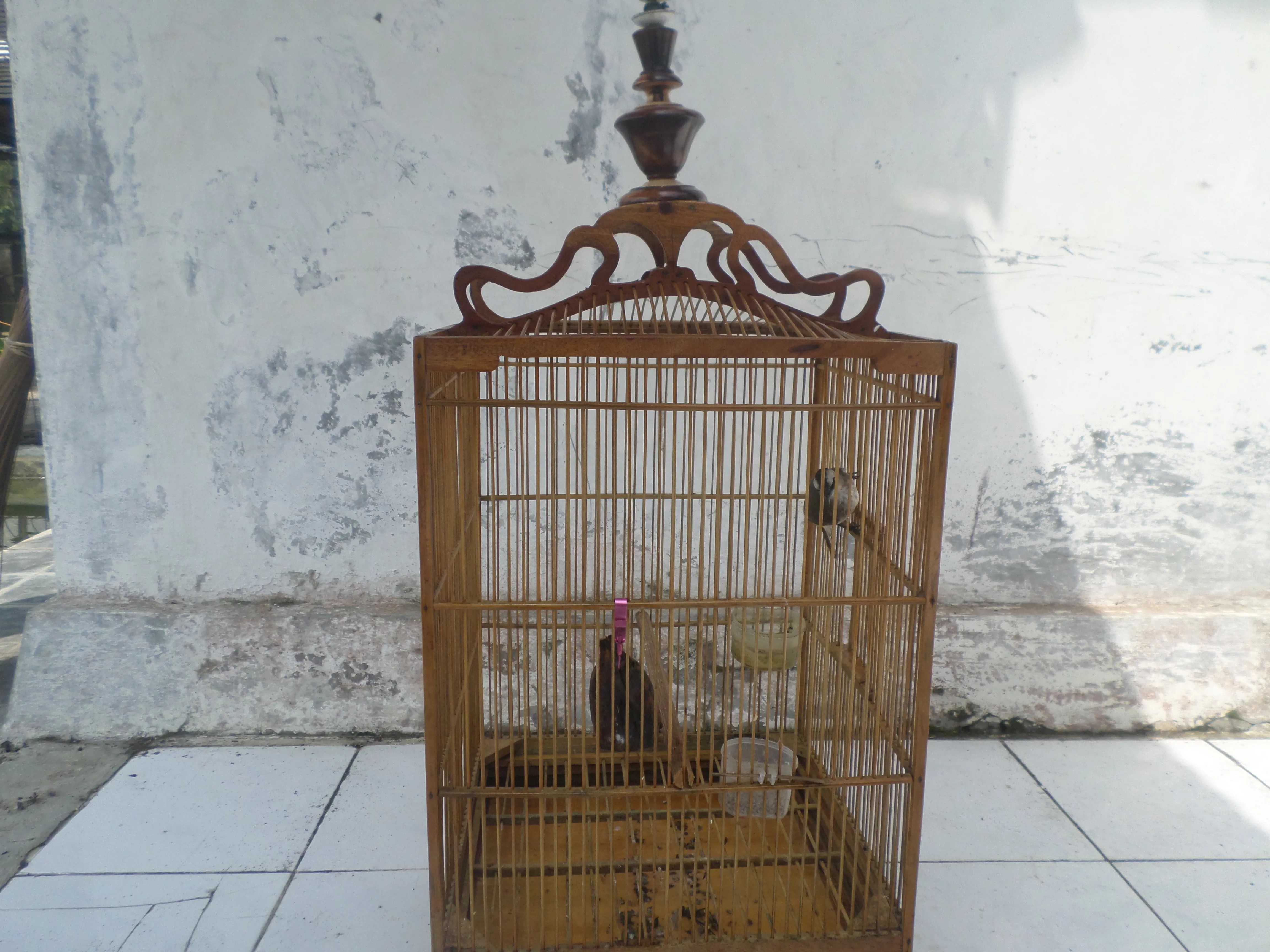 Detail Gambar Kurungan Burung Nomer 32