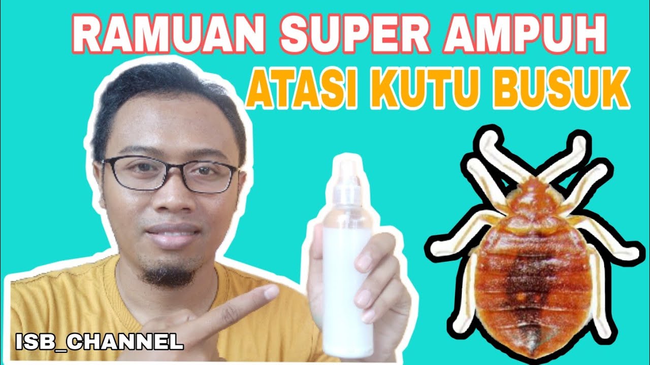 Detail Gambar Kutu Kasur Nomer 26