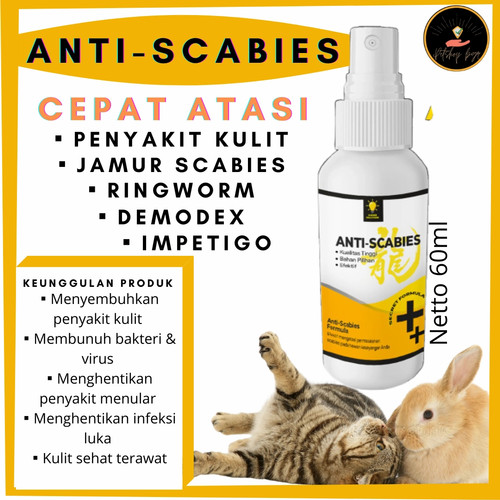 Detail Gambar Kutu Scabies Nomer 52