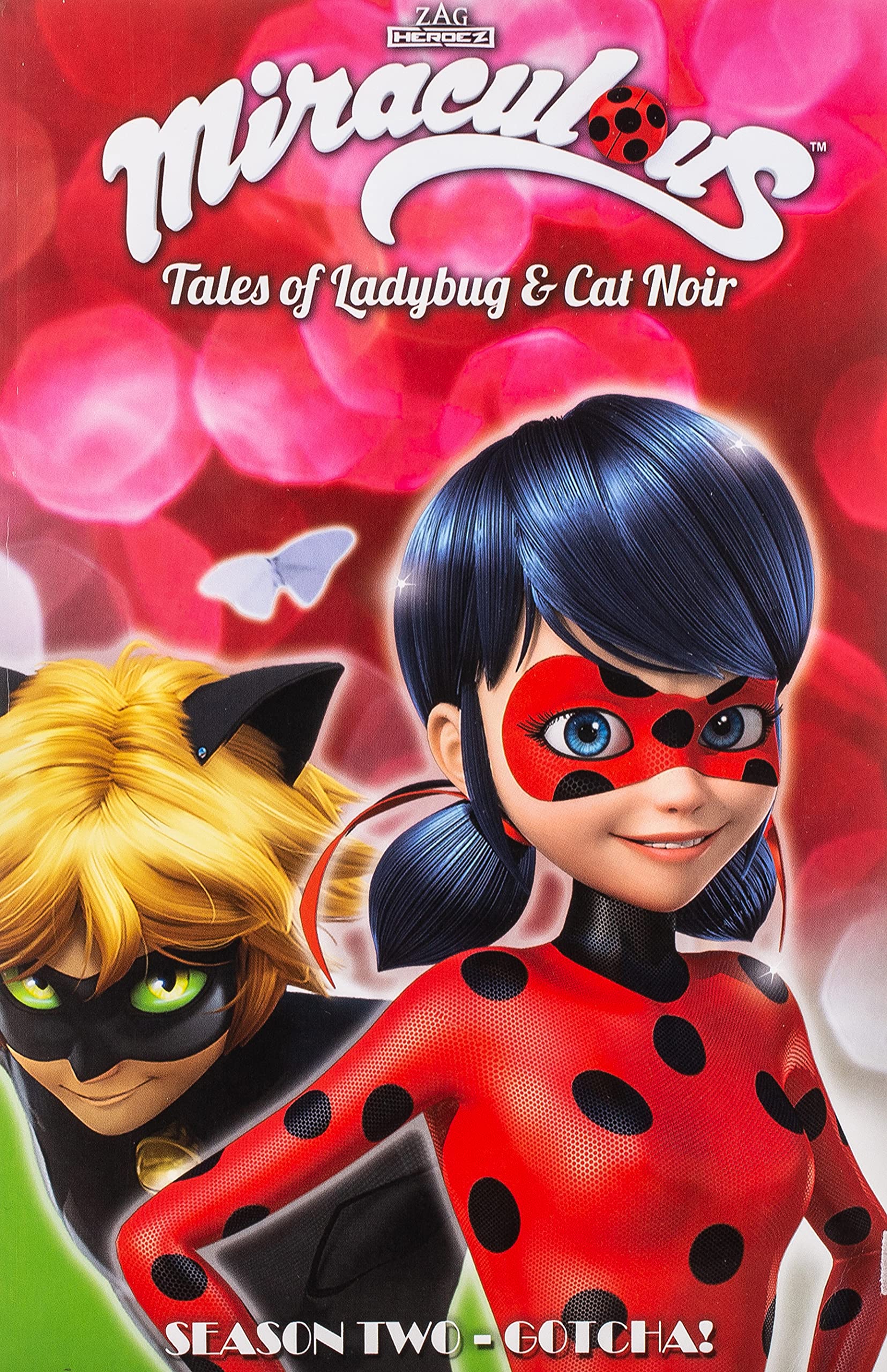 Detail Gambar Ladybug Nomer 31