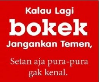 Gambar Lagi Bokek - KibrisPDR