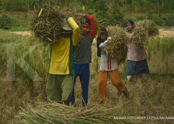 Detail Gambar Lahan Pertanian Nomer 46