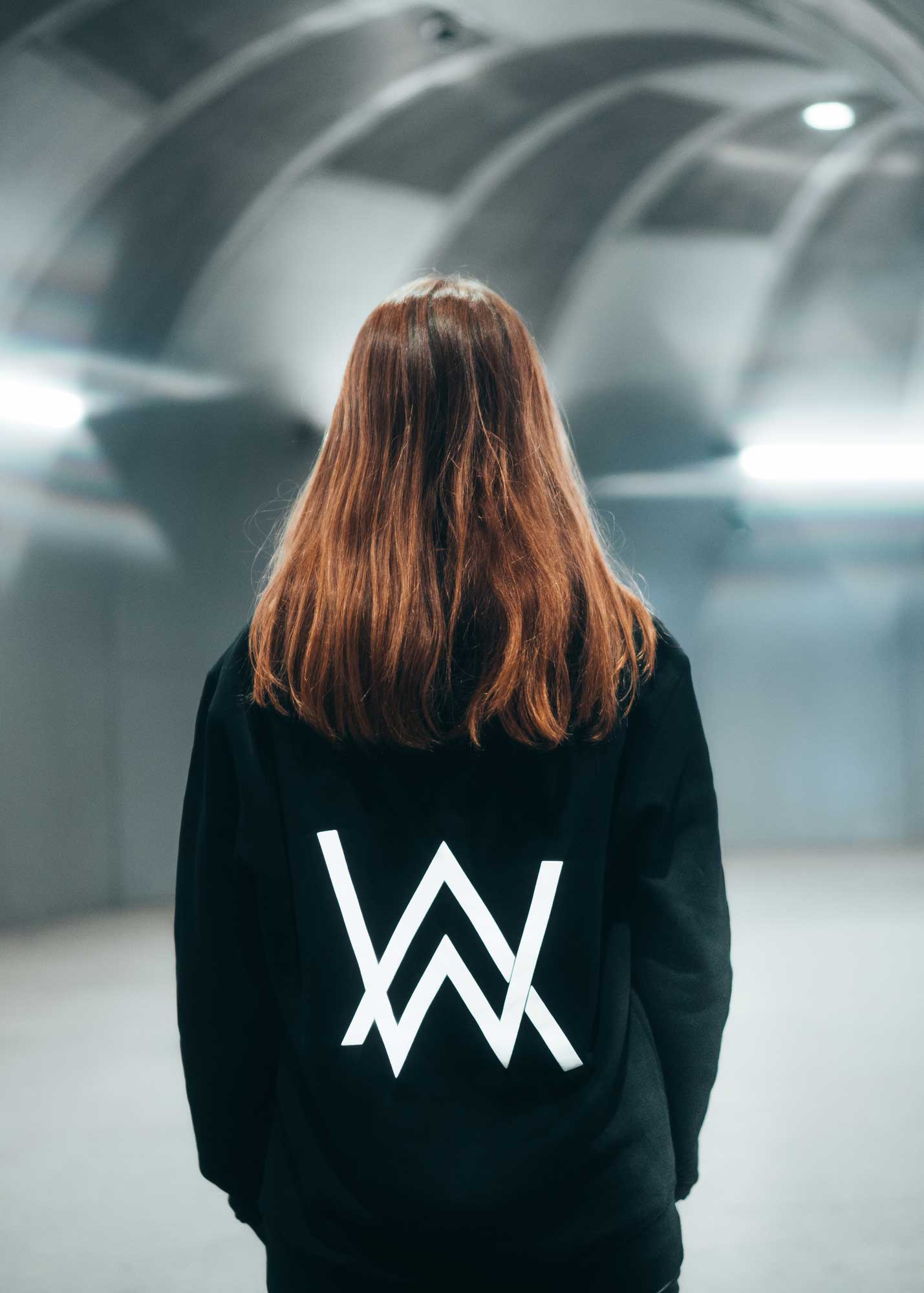 Detail Gambar Lambang Alan Walker Nomer 41