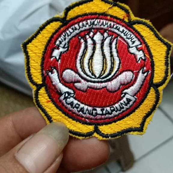 Detail Gambar Lambang Karang Taruna Nomer 47