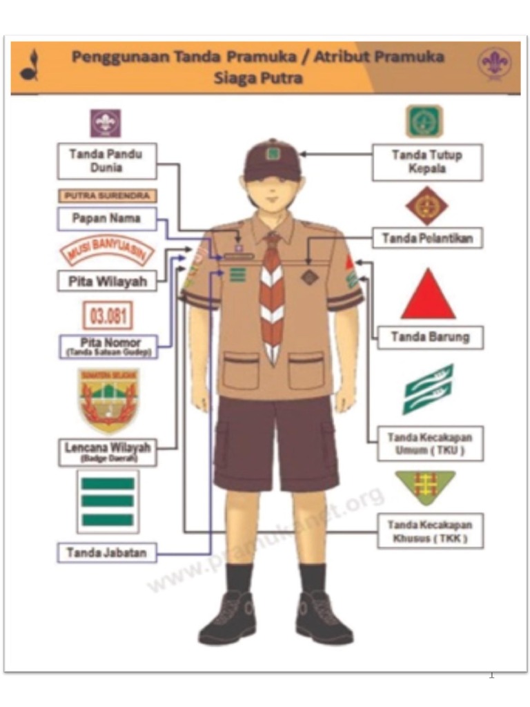 Detail Gambar Lambang Pramuka Siaga Nomer 45