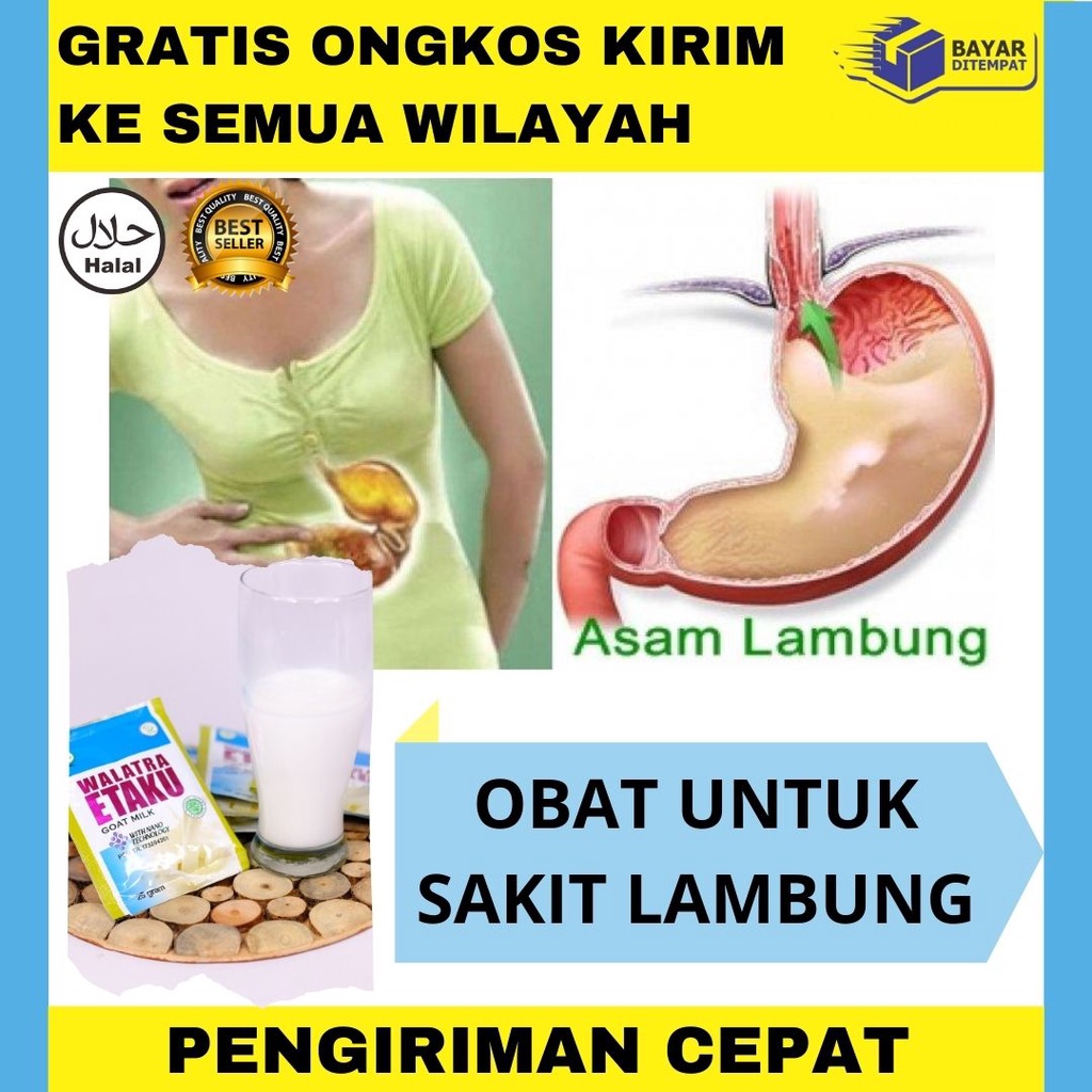 Detail Gambar Lambung Bengkak Nomer 35