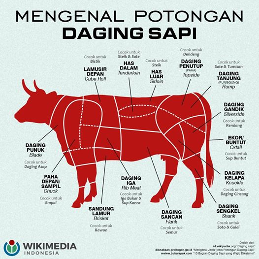 Detail Gambar Lambung Sapi Nomer 38