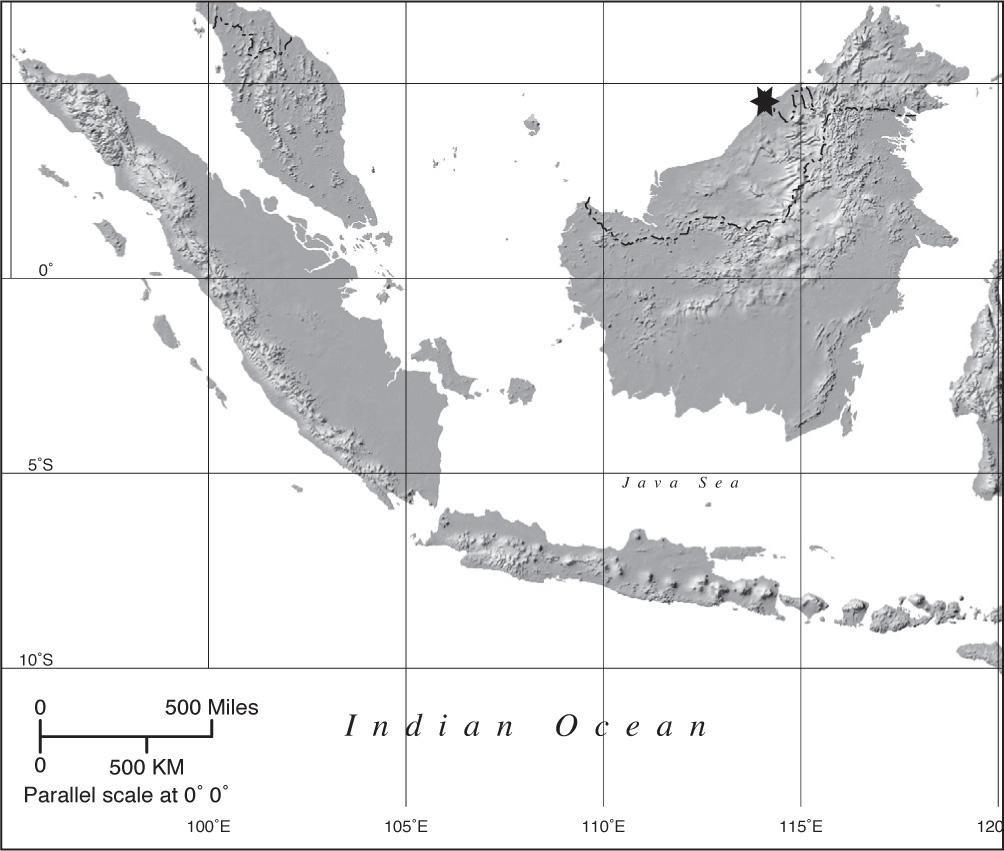 Detail Gambar Lanak Tetangga Nomer 13