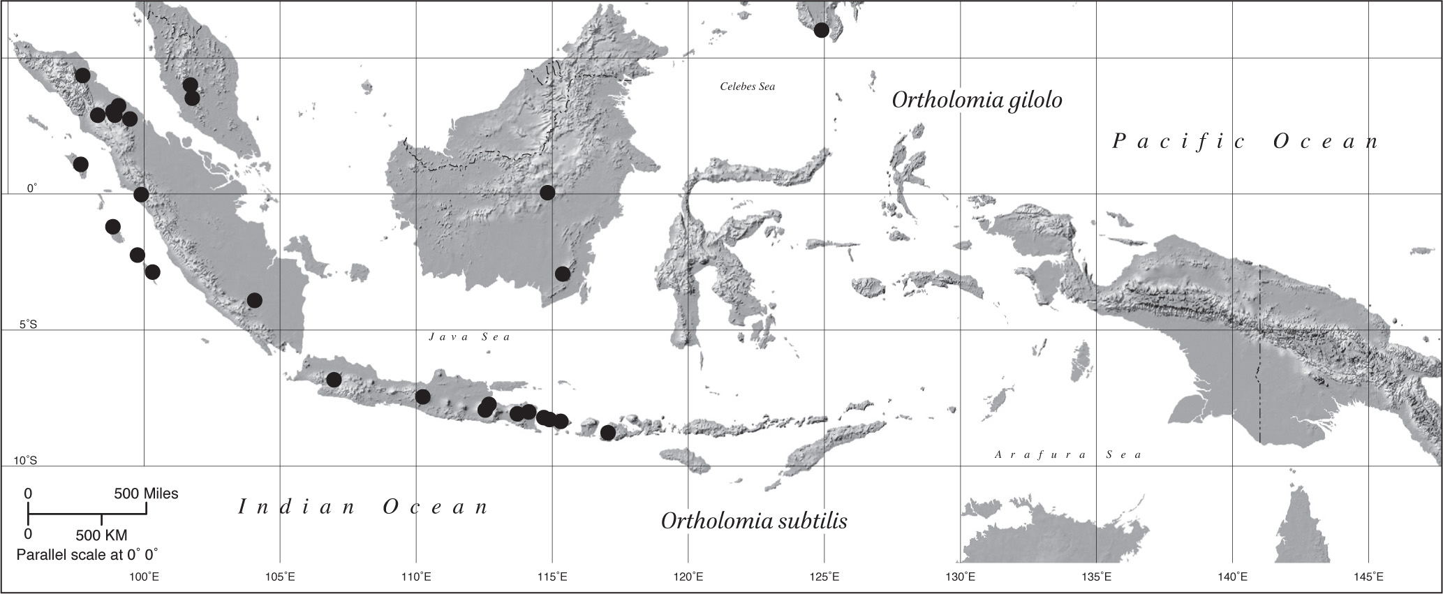 Detail Gambar Lanak Tetangga Nomer 24