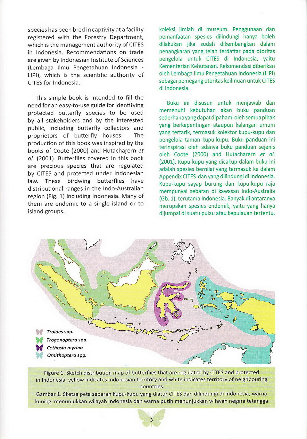 Detail Gambar Lanak Tetangga Nomer 32