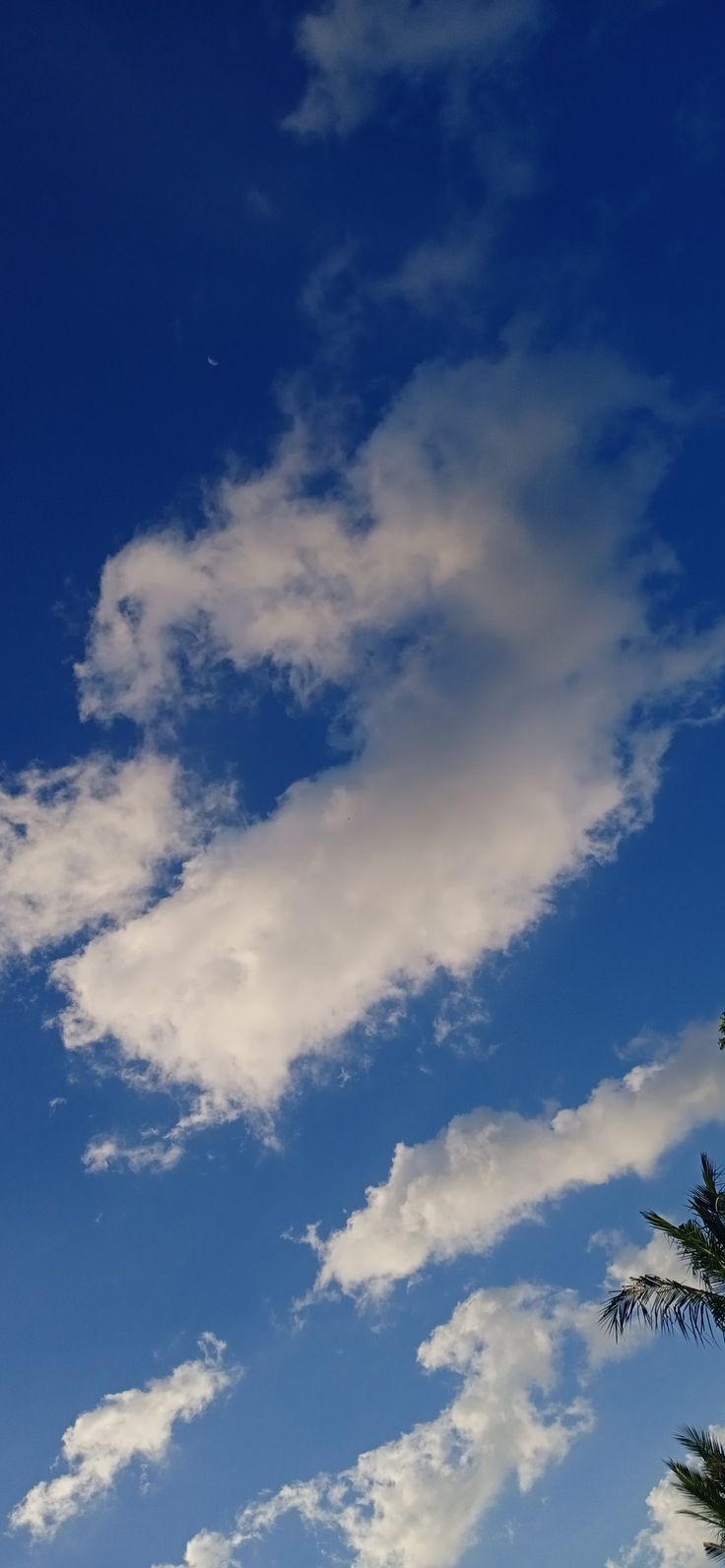 Detail Gambar Langit Biru Dan Awan Putih Nomer 18