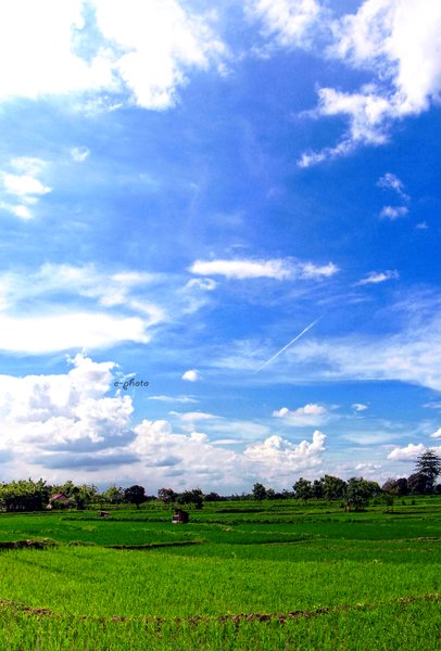 Detail Gambar Langit Cerah Nomer 11