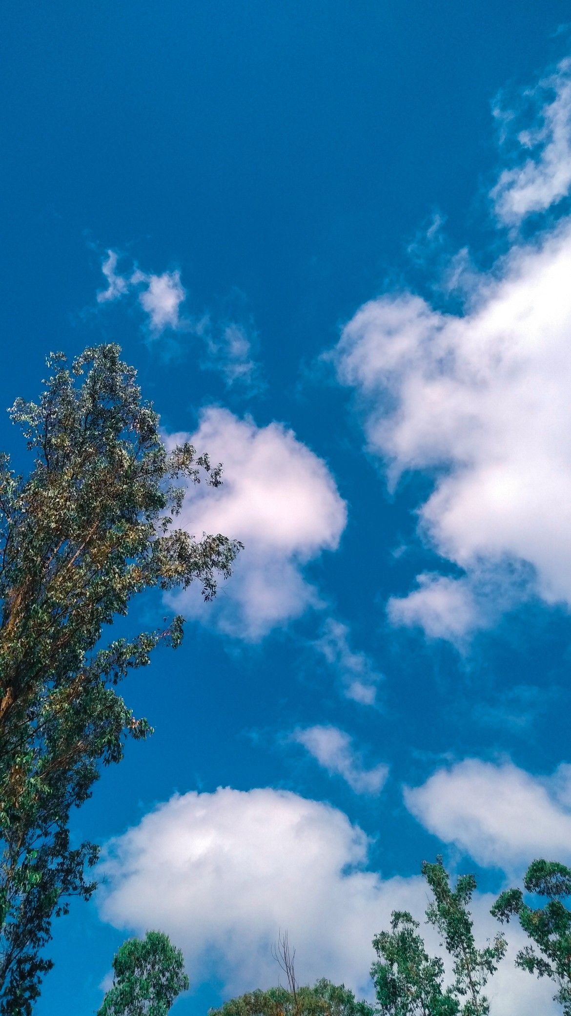 Detail Gambar Langit Cerah Nomer 3