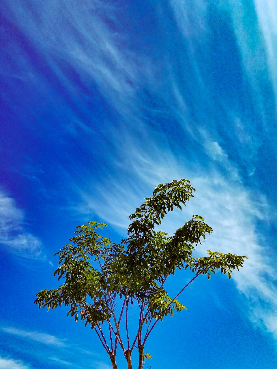 Detail Gambar Langit Cerah Nomer 9