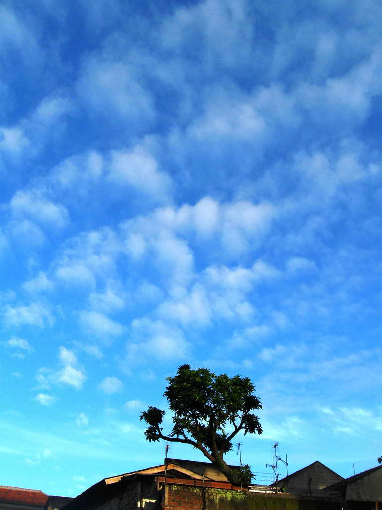 Detail Gambar Langit Langit Nomer 18