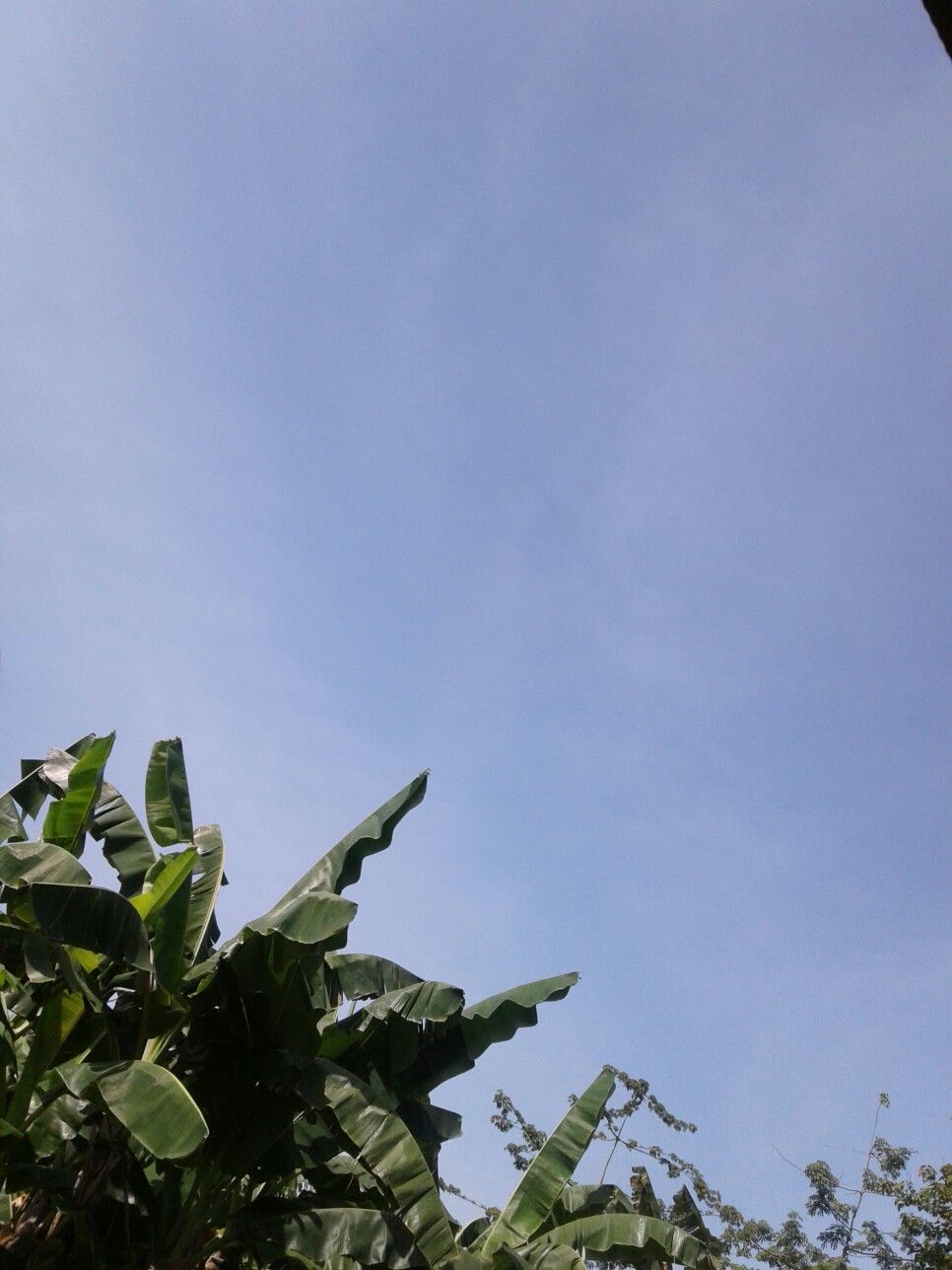 Detail Gambar Langit Langit Nomer 46