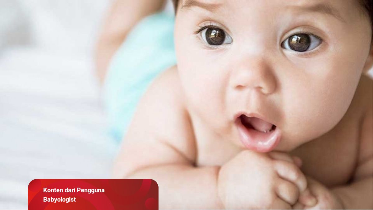 Detail Gambar Langit Langit Mulut Bayi Nomer 15
