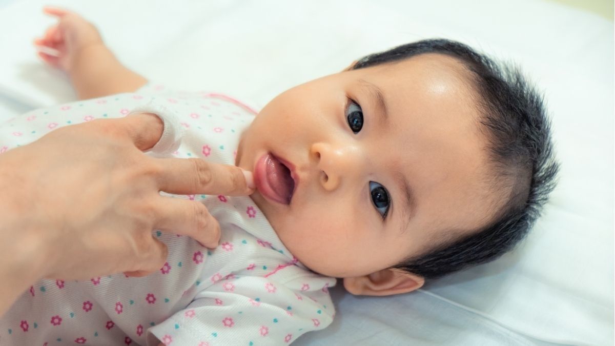 Detail Gambar Langit Langit Mulut Bayi Nomer 20