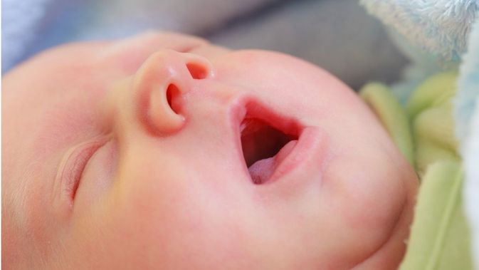 Detail Gambar Langit Langit Mulut Bayi Nomer 24