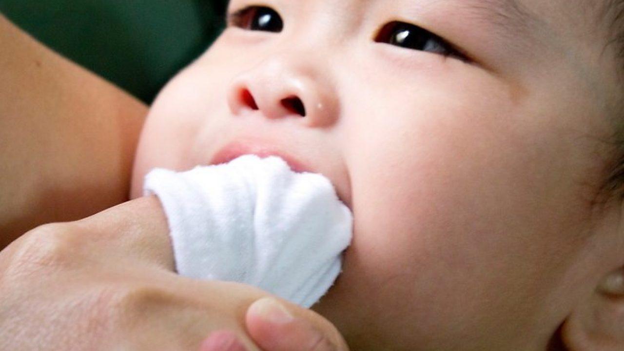 Detail Gambar Langit Langit Mulut Bayi Nomer 33