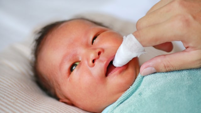 Detail Gambar Langit Langit Mulut Bayi Nomer 37