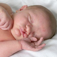 Detail Gambar Langit Langit Mulut Bayi Nomer 44