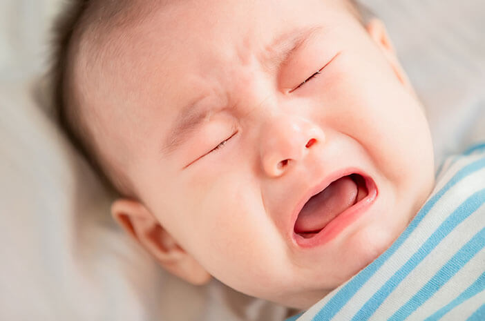 Detail Gambar Langit Langit Mulut Bayi Nomer 46