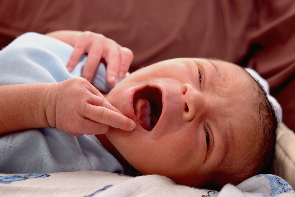 Detail Gambar Langit Langit Mulut Bayi Nomer 51