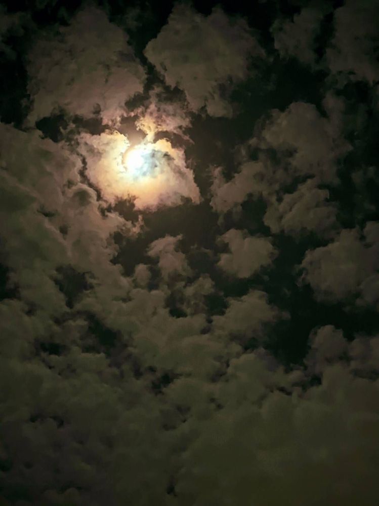 Detail Gambar Langit Malam Hari Nomer 19