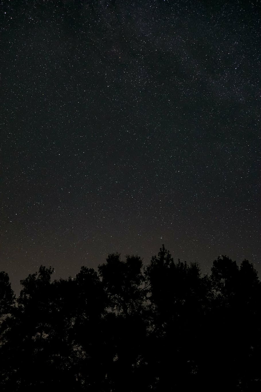 Detail Gambar Langit Malam Penuh Bintang Dan Bulan Nomer 17