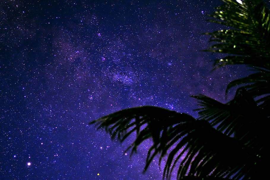 Detail Gambar Langit Malam Penuh Bintang Dan Bulan Nomer 19
