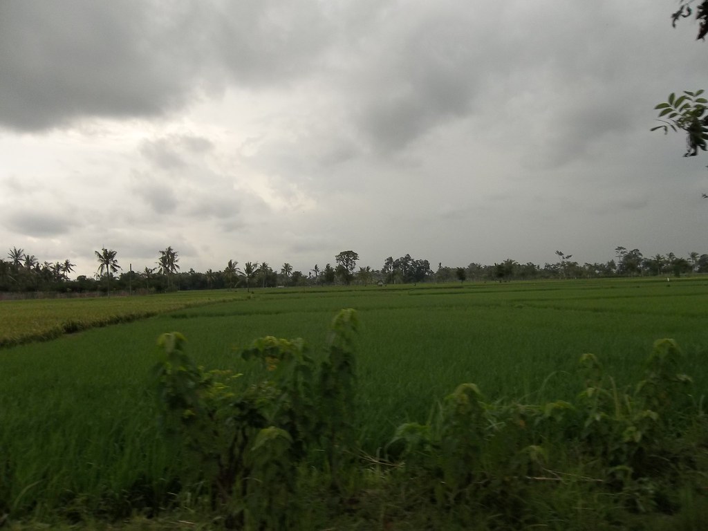Detail Gambar Langit Mendung Nomer 36