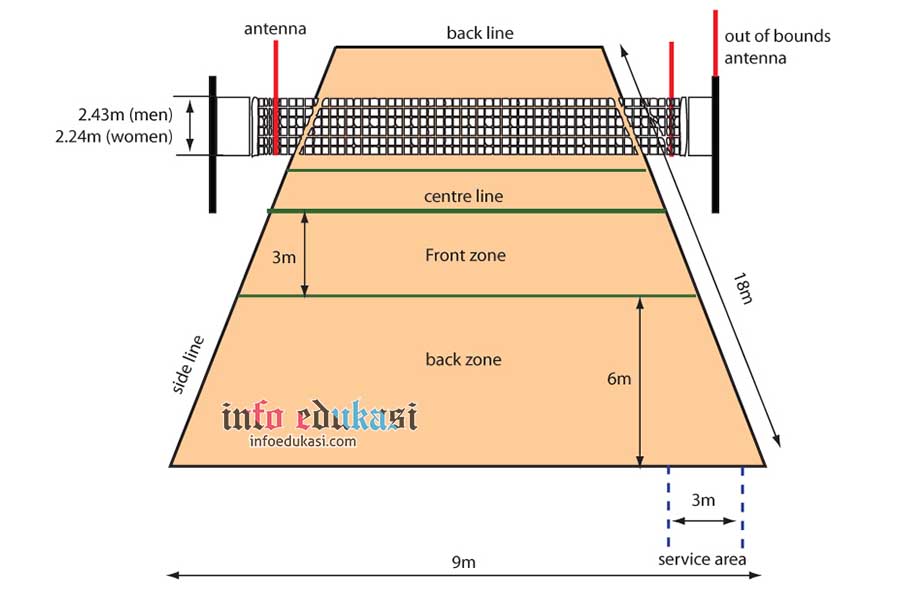 Detail Gambar Lapangan Voli Lengkap Dengan Ukurannya Nomer 9