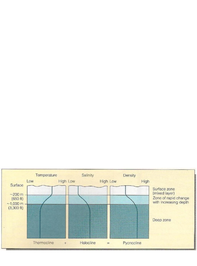 Detail Gambar Lapisan Termoklin Nomer 20