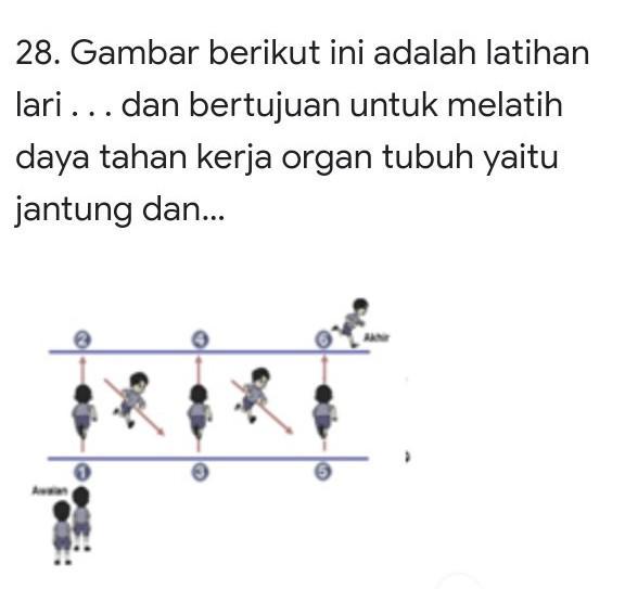 Detail Gambar Lari Zigzag Nomer 31