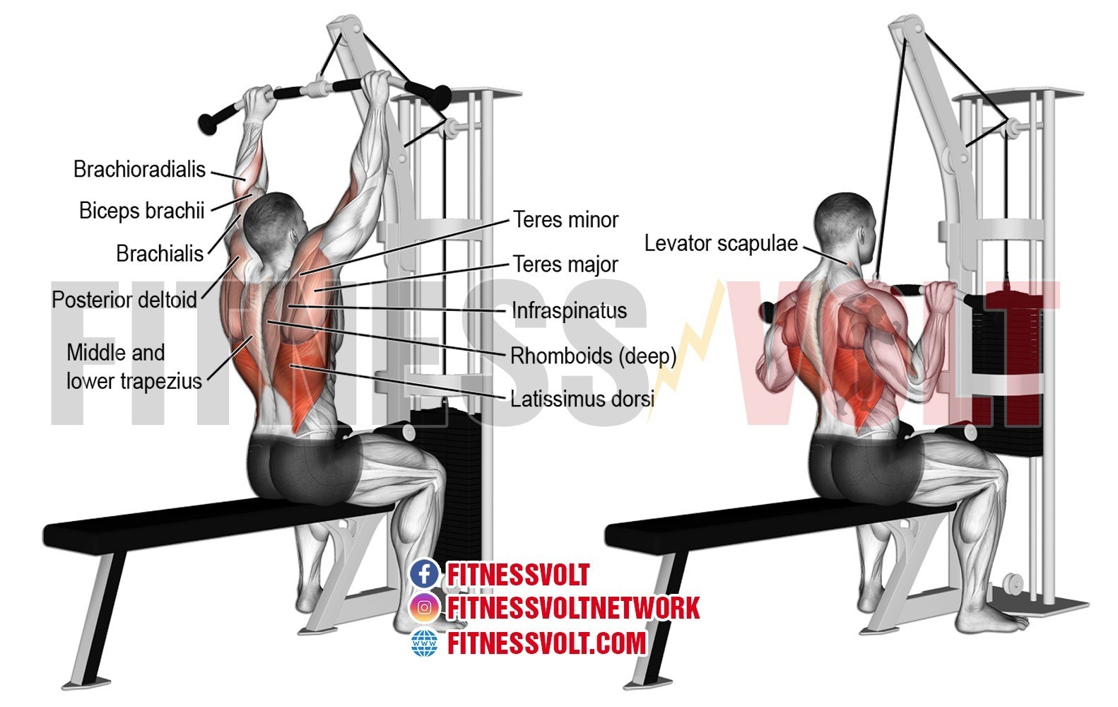 Detail Gambar Lat Pulldown Nomer 4