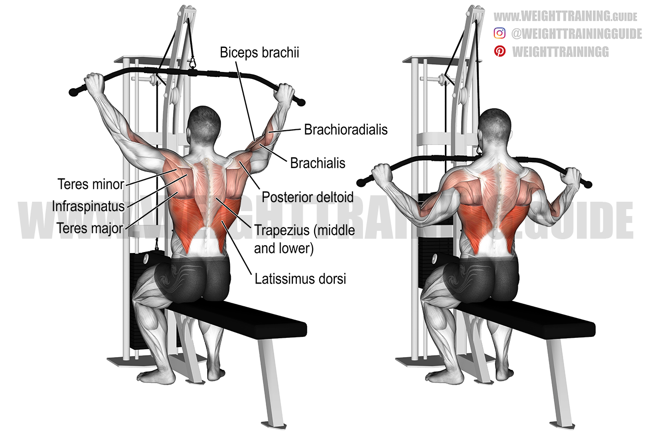 Detail Gambar Lat Pulldown Nomer 5
