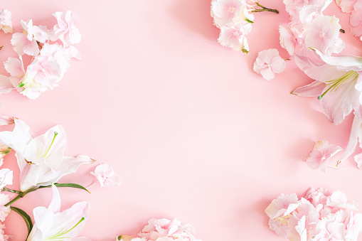 Detail Gambar Latar Bunga Pink Nomer 17