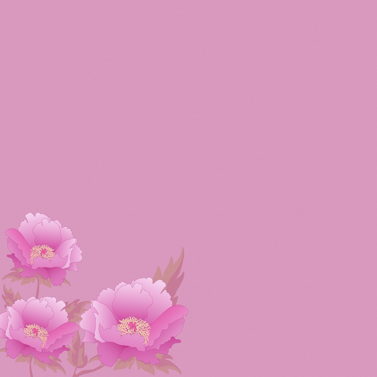 Detail Gambar Latar Bunga Pink Nomer 22