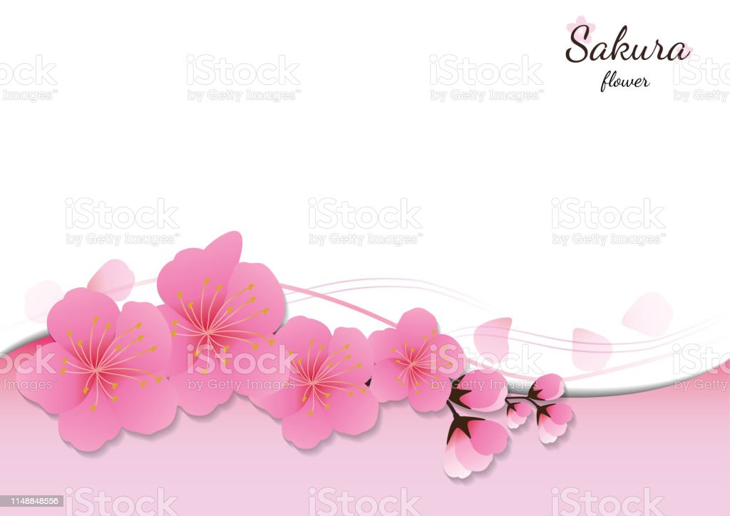 Detail Gambar Latar Bunga Sakura Nomer 47